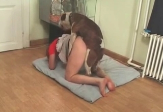 Doggy gives a passionate cunnilingus