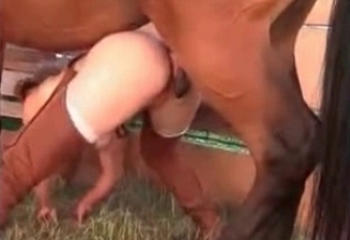 Tight cunt drilled by amazing horse